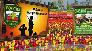 С Днём Пограничника 1! Праздничное Поздравление от Киностудии Мудрого Кота Тимофея!!!