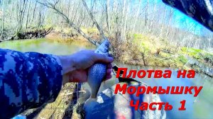 Весенняя Плотва Ловля на Мормышку (Видео 1)