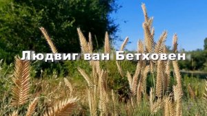 Людвиг ван Бетховен, Багатель для фортепиано, классическая музыка. Музыка для души