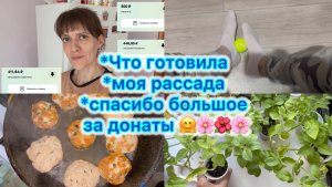 Что готовила , рассада , спасибо большое за донаты 🤗🌸🌺🌸