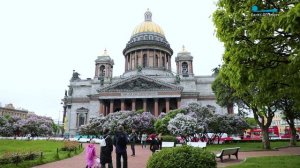 Точное петербургское. Традиции, по которым сверяют часы в Петербурге