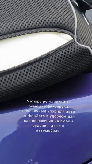Поддержка спины во время вождения и дома! #forergo