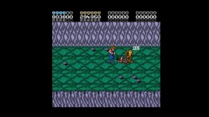 Battletoads and Double Dragon x24 1.0 Difficulty: Normal Game:B Players: 2