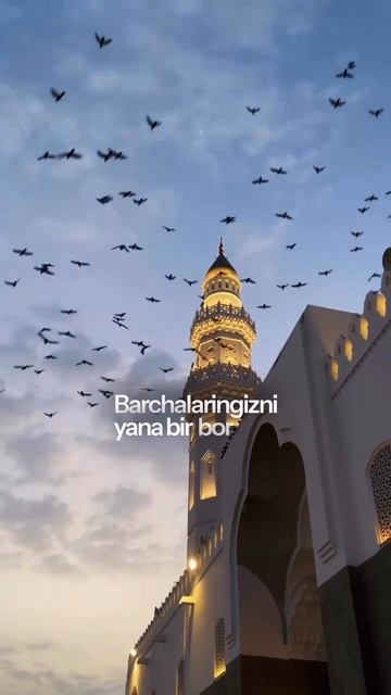 Assalamu Alaykum Va Rohmatulloh Alloh Taolo Ushbu Qurbon Hayitini Barchamizga Muborak Qilsin Shunday