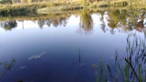 Отдых с сыном