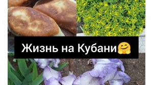 23-24.05/ Съездили на рынок/ Ловушки для муравьёв/ Пирожки/ Уха/ Установили кондиционер/
