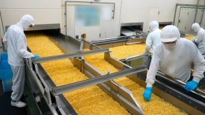 Массовое производство острых чипсов Karamucho из японского картофеля. Производство в Японии