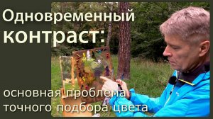 Одновременный контраст – что это такое и как с ним бороться