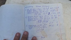Розовый томат, питание для налива. Краснодарский край, май 2026 год.