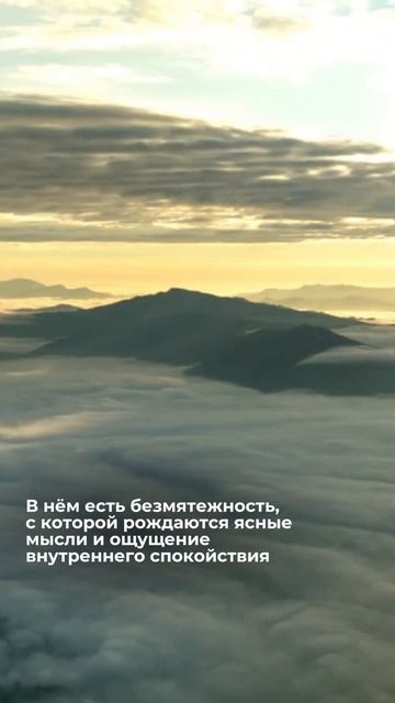 ЛДСП Lamarty