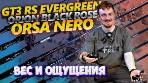 ОБЗОР СПИННИНГОВ ДЛЯ ПЕГАЛИКИ | ВСЕ БЮДЖЕТЫ