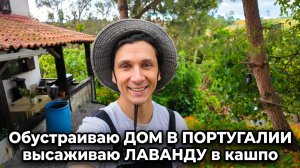 Сажаю ЛАВАНДУ в своем доме в Португалии/ Поездка в магазин