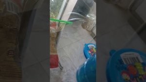 Слайм