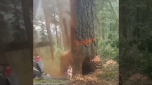 А вот здесь такой неожиданный подарок.
