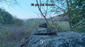 El PieDelSaurin