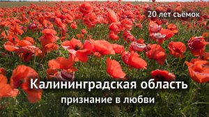 Калининградская область. Признание в любви