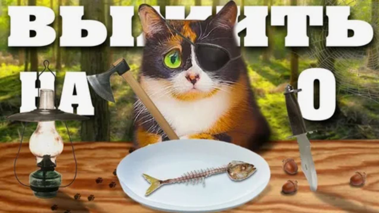 КАК ПРОЖИТЬ ЦЕЛЫЙ ДЕНЬ - НА 0 РУБЛЕЙ! смотреть онлайн