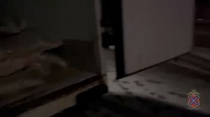 Волгоградские полицейские изъяли из незаконного оборота 10 тонн немаркированной рыбы