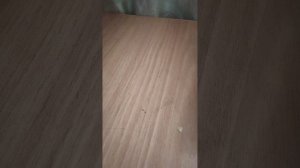 VID_20260527_170104.mp4