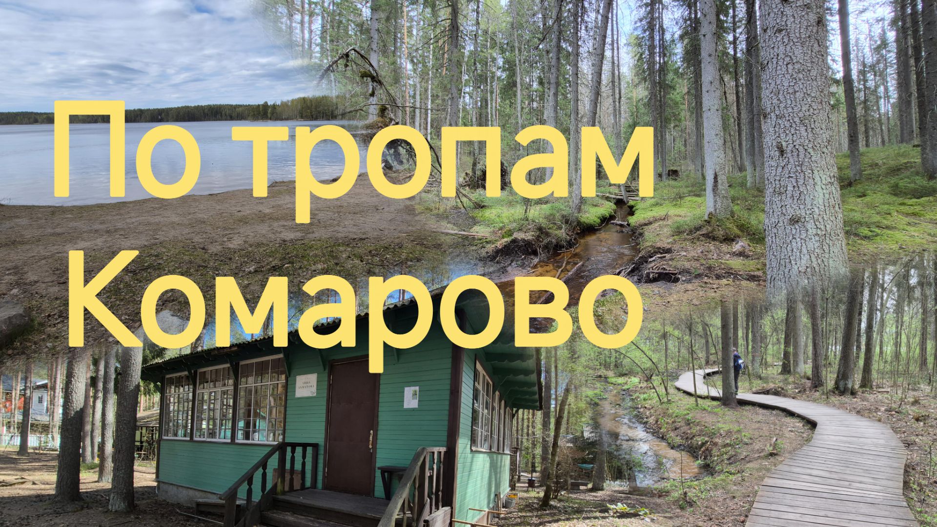 Трек вокруг Щучьего озера / можно ли пить из Щукина ручья / гора Серенада /