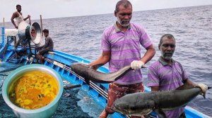 На 13-й день в море мы ели пойманную рыбу и карри из рыбы кера.