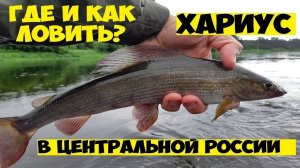 Ловля ХАРИУСА и окуня на спиннинг! Бешеный клев окуня! Рыбалка летом на вертушки!