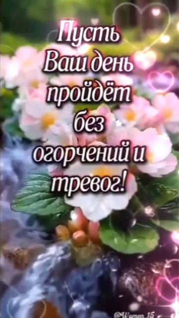 Доброе утро, Друзья!☕💖🌿