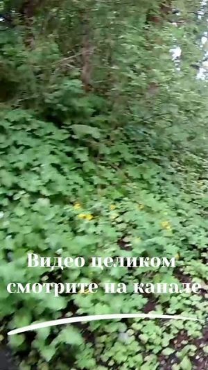 Все кто внрует всем надо исполнять заповеди
