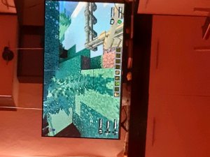 играю в Minecraft