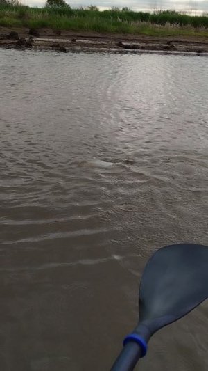 Рыбалка Приморский край рыба конек