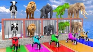 Мультики для детей .Детские мультики.Яркие мультики