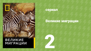 Великие миграции 1 сезон 2 серия (документальный сериал, 2010)