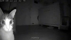 Спасибо за 5 подписчиков Хоррор