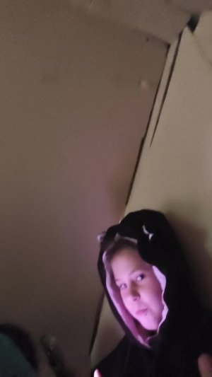 домик