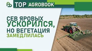 Сев яровых ускорился, но вегетация замедлилась | TOP Agrobook