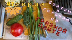47серия/ готовлю на грязной плите и разговариваю о планах/25.05.26