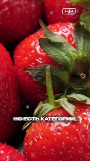 От пользы для сердца до отека Квинке: сколько клубники можно съесть