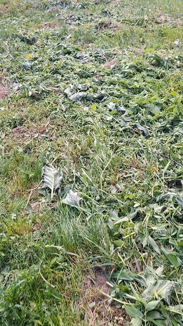 В деревне в огороде немного приборки
