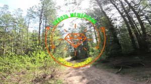 Сквозь мещёрские СНТушки