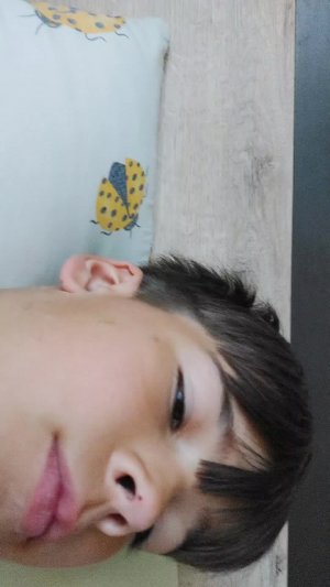 бравыл