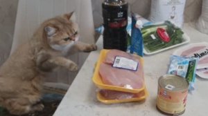 Промокод 300 руб.🎁Магазин ВИКТОРИЯ,🤗доставка продуктов на дом.🚗