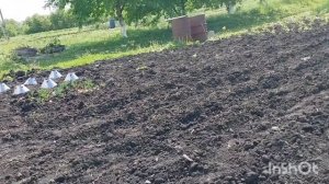 Болталка /работа в огороде /как живут в русской деревне....