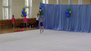 Соревнования по художественной гимнастике «Шаги к успеху» 27.05.2026, г.Новосибирск