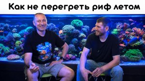 Как не перегреть риф летом