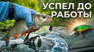 2 ЧАСА ДО РАБОТЫ | Голавль на малой реке. РАЗЛОВИЛ НОВИНКИ!