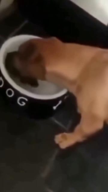 Это слишком жестоко
