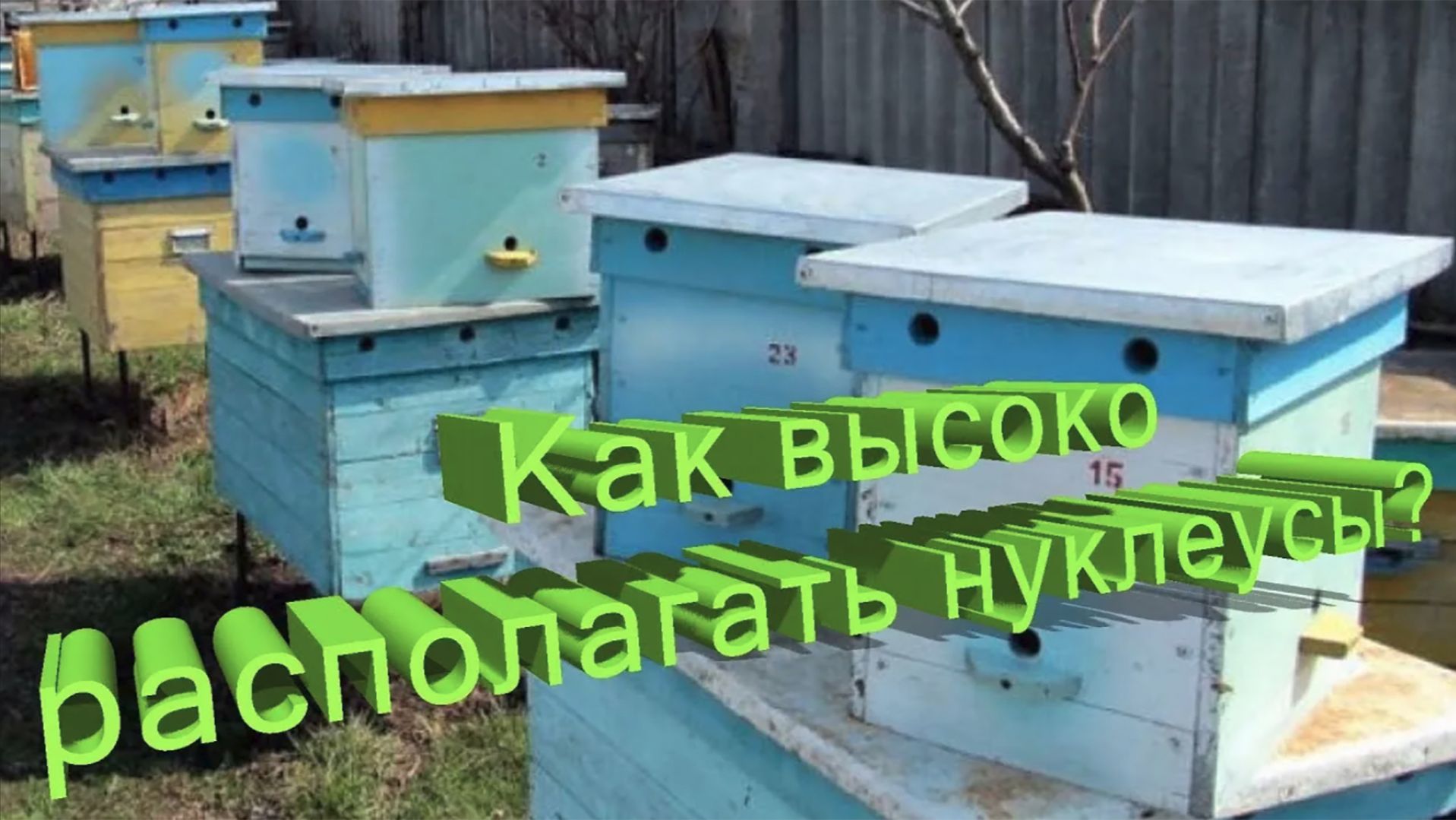 Нуклеусы на земле или выше: влияет ли высота на вывод маток? | Профессор Кашковский 🐝📏