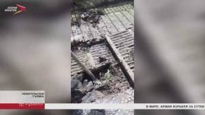 Дворы и улицы Владикавказа затопило после обильных осадков