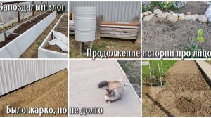 Запоздалый влог 15.05-20.05. Было жарко, но не долго. Продолжение истории про яйцо 🥚