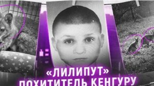 Безумная история серийного похитителя кенгуру Дело Ивана Некрасова